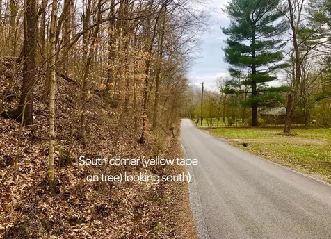 0 Simpkins Road Whites Creek TN 37189