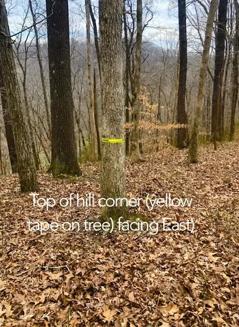 0 Simpkins Road Whites Creek TN 37189