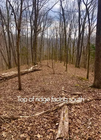 0 Simpkins Road Whites Creek TN 37189