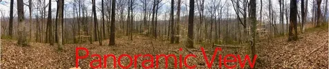 0 Simpkins Road Whites Creek TN 37189