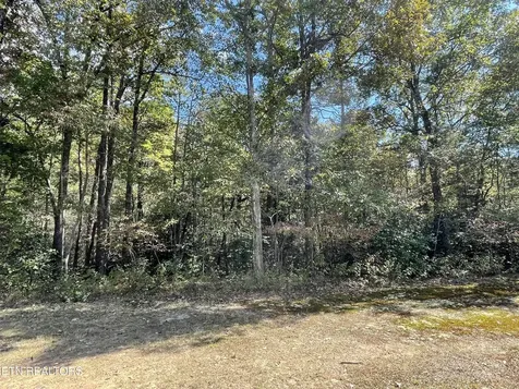 130 Stillington Loop Crossville TN 38558