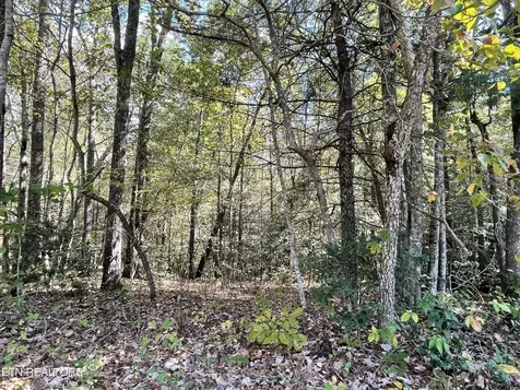 130 Stillington Loop Crossville TN 38558