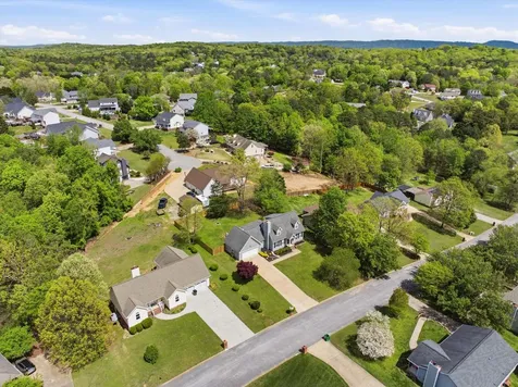 6528 Olde Ferry Landing Harrison TN 37341