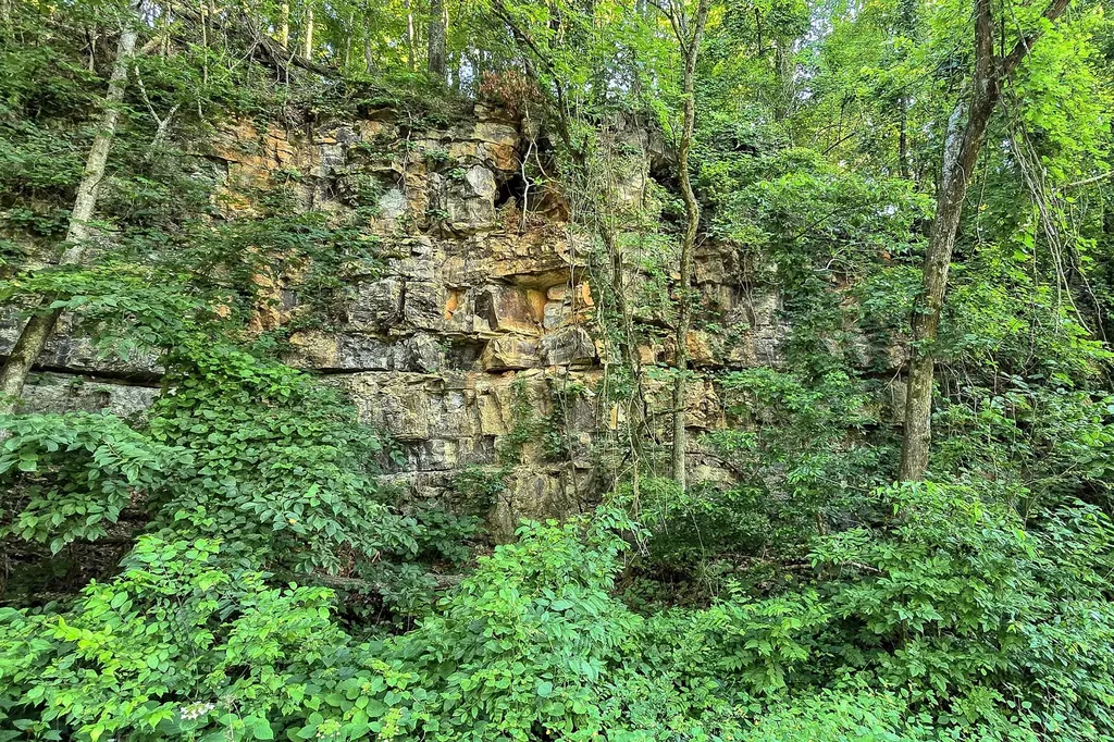8157 Highway 49, E Springfield TN 37172