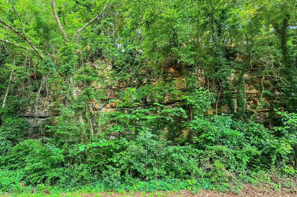 8157 Highway 49, E Springfield TN 37172