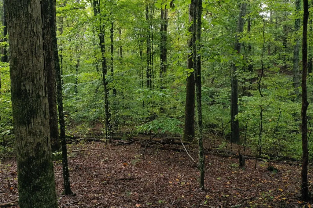 0 Fawnwood Spring City TN 37381