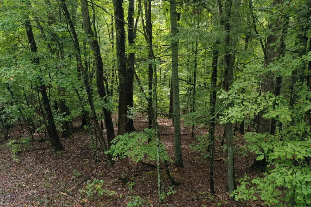 0 Fawnwood Spring City TN 37381