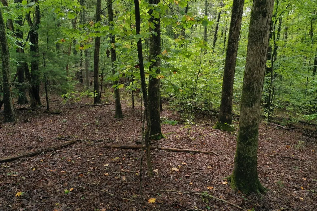 0 Fawnwood Spring City TN 37381
