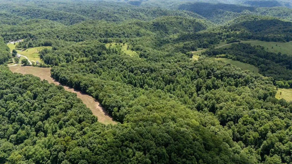 3772 Pea Ridge Road Liberty TN 37095