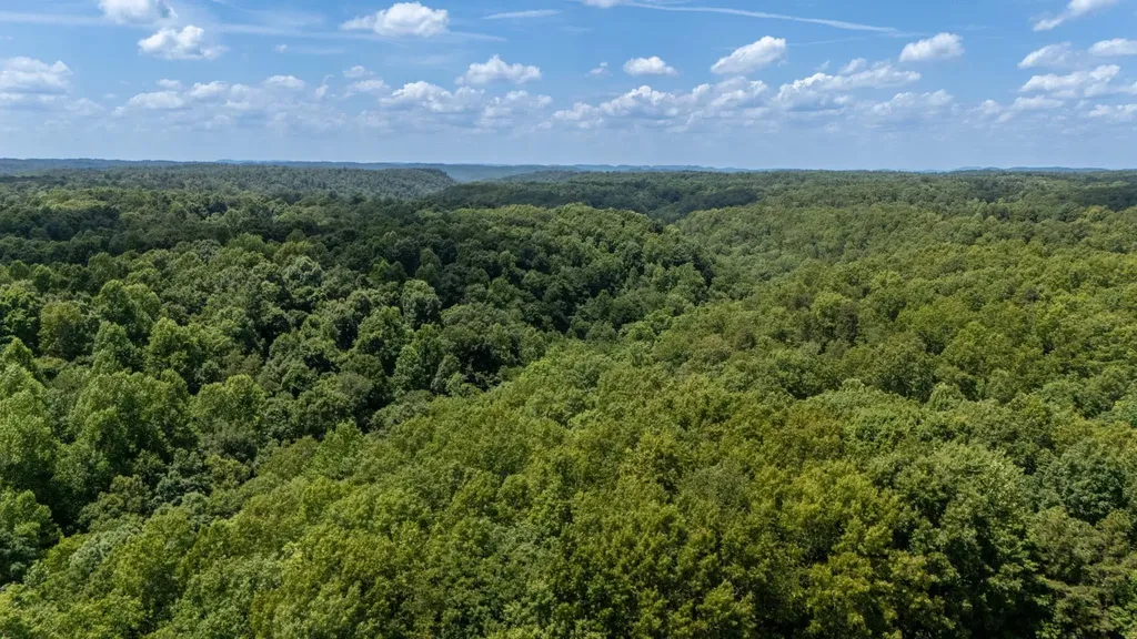 3772 Pea Ridge Road Liberty TN 37095