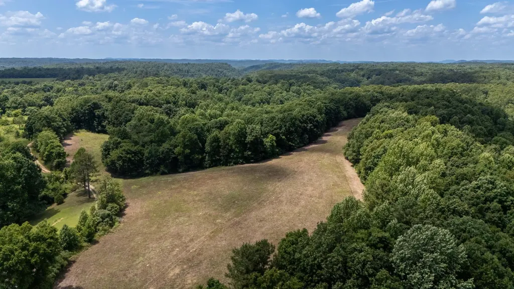 3772 Pea Ridge Road Liberty TN 37095
