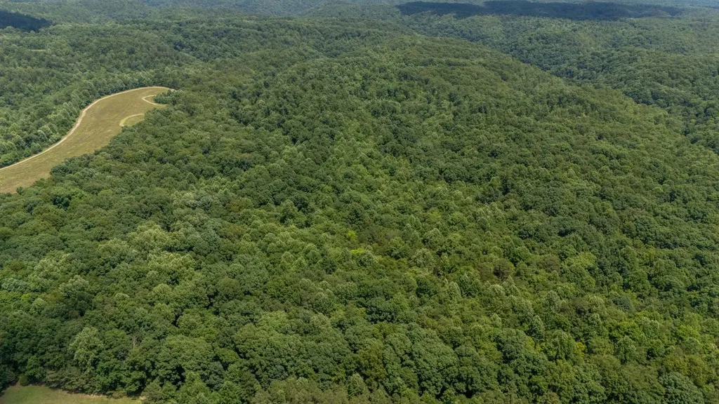 3772 Pea Ridge Road Liberty TN 37095