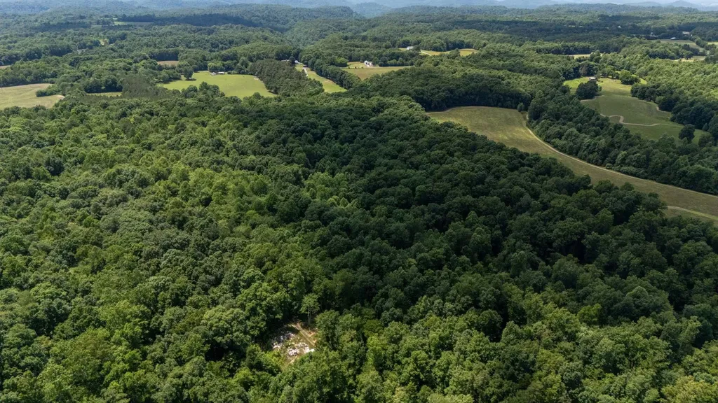 3772 Pea Ridge Road Liberty TN 37095