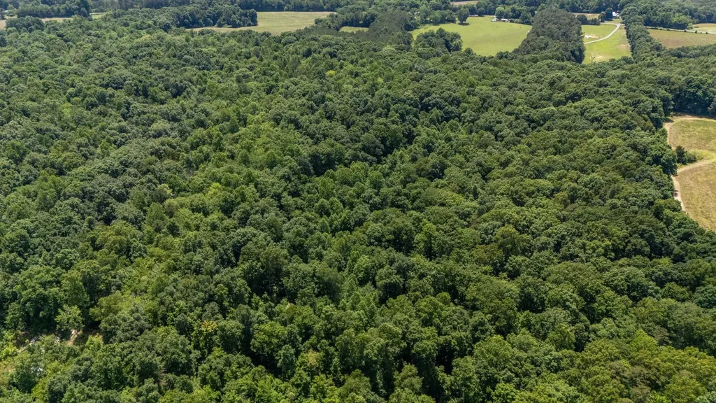 3772 Pea Ridge Road Liberty TN 37095