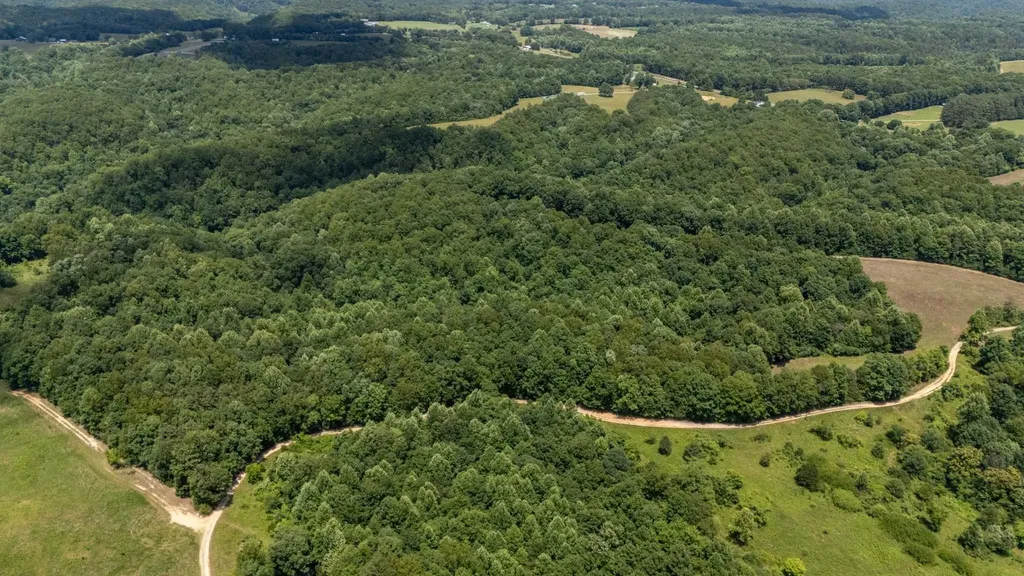 3772 Pea Ridge Road Liberty TN 37095