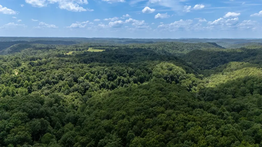 3772 Pea Ridge Road Liberty TN 37095