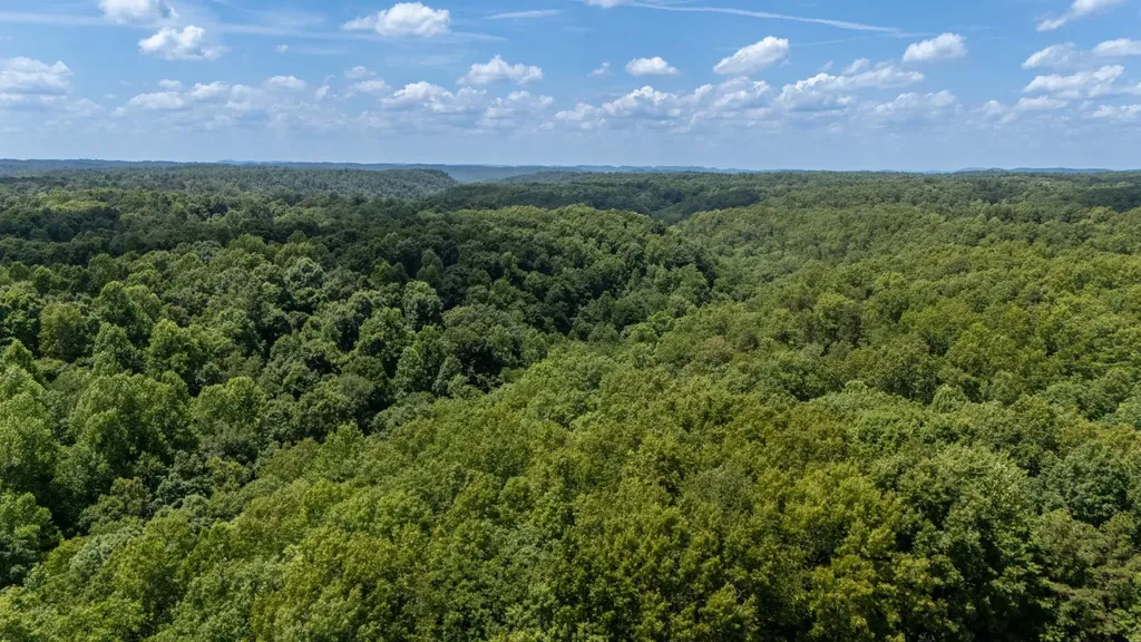 3772 Pea Ridge Road Liberty TN 37095