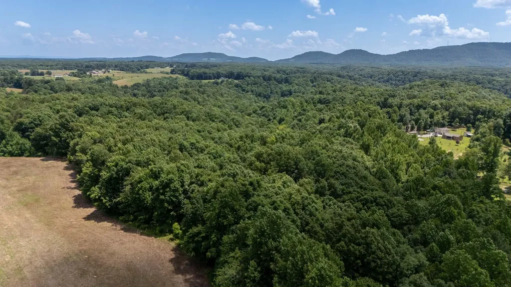 3772 Pea Ridge Road Liberty TN 37095