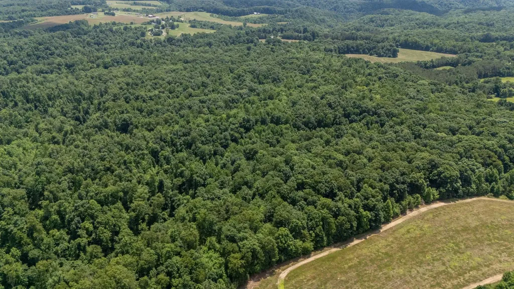 3772 Pea Ridge Road Liberty TN 37095