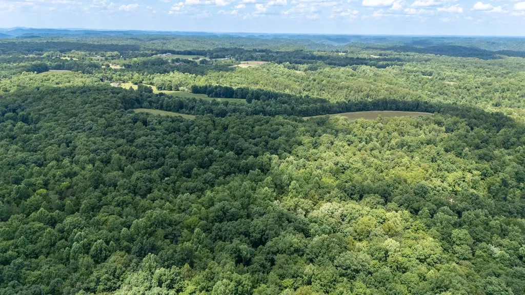 3772 Pea Ridge Road Liberty TN 37095