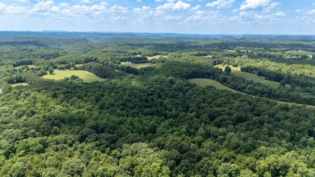 3772 Pea Ridge Road Liberty TN 37095