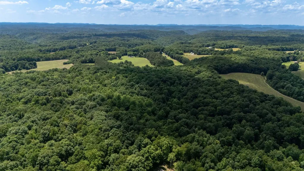 3772 Pea Ridge Road Liberty TN 37095