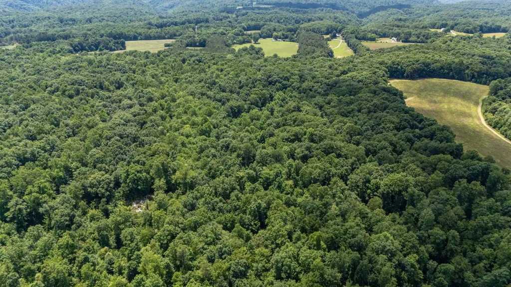 3772 Pea Ridge Road Liberty TN 37095