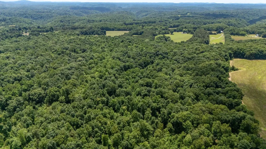 3772 Pea Ridge Road Liberty TN 37095