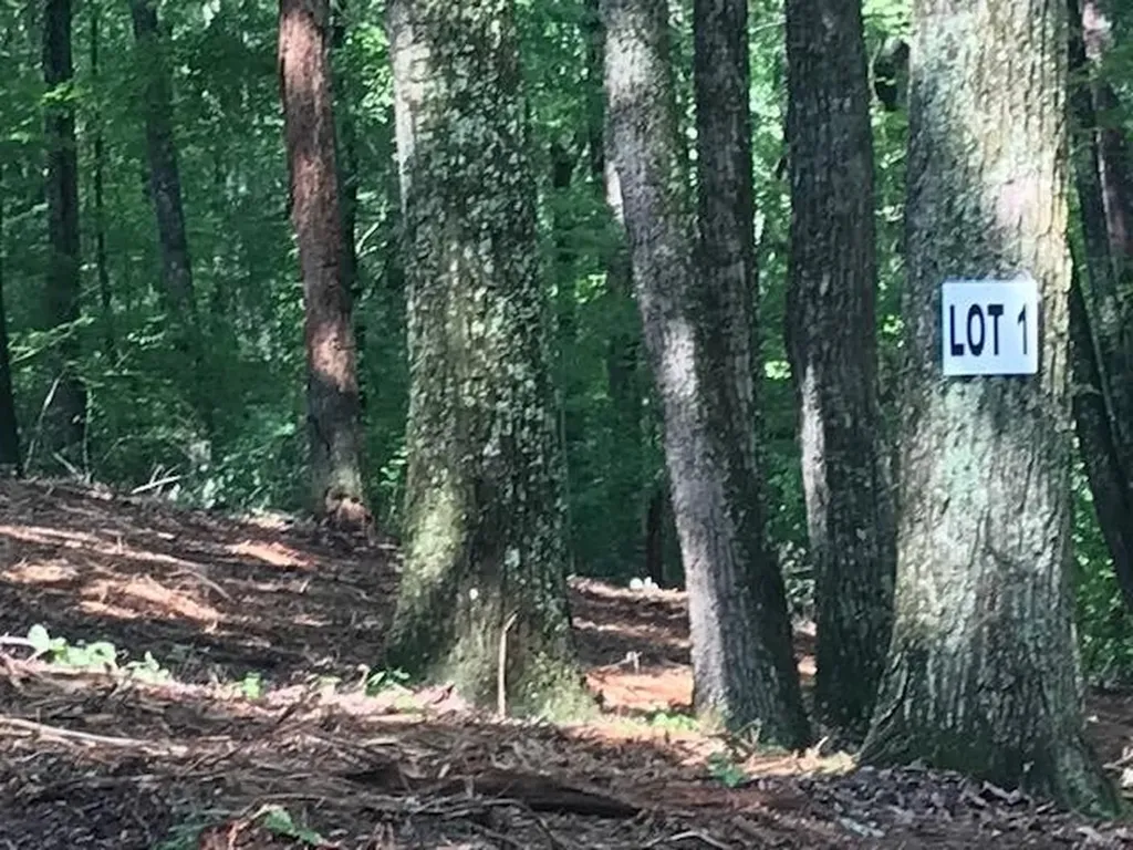 1 Piney Knob Drive Spring City TN 37381