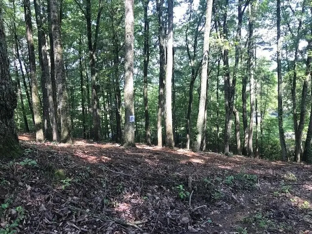 1 Piney Knob Drive Spring City TN 37381