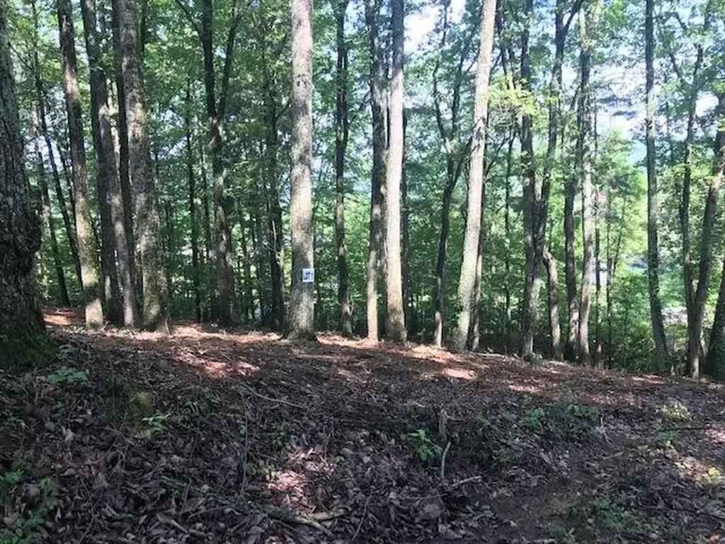 25 Piney Knob Drive Spring City TN 37381