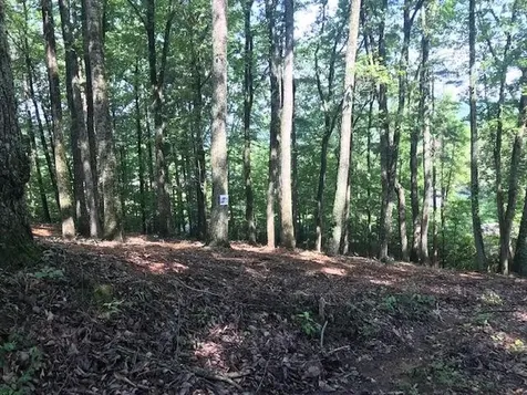 25 Piney Knob Drive Spring City TN 37381