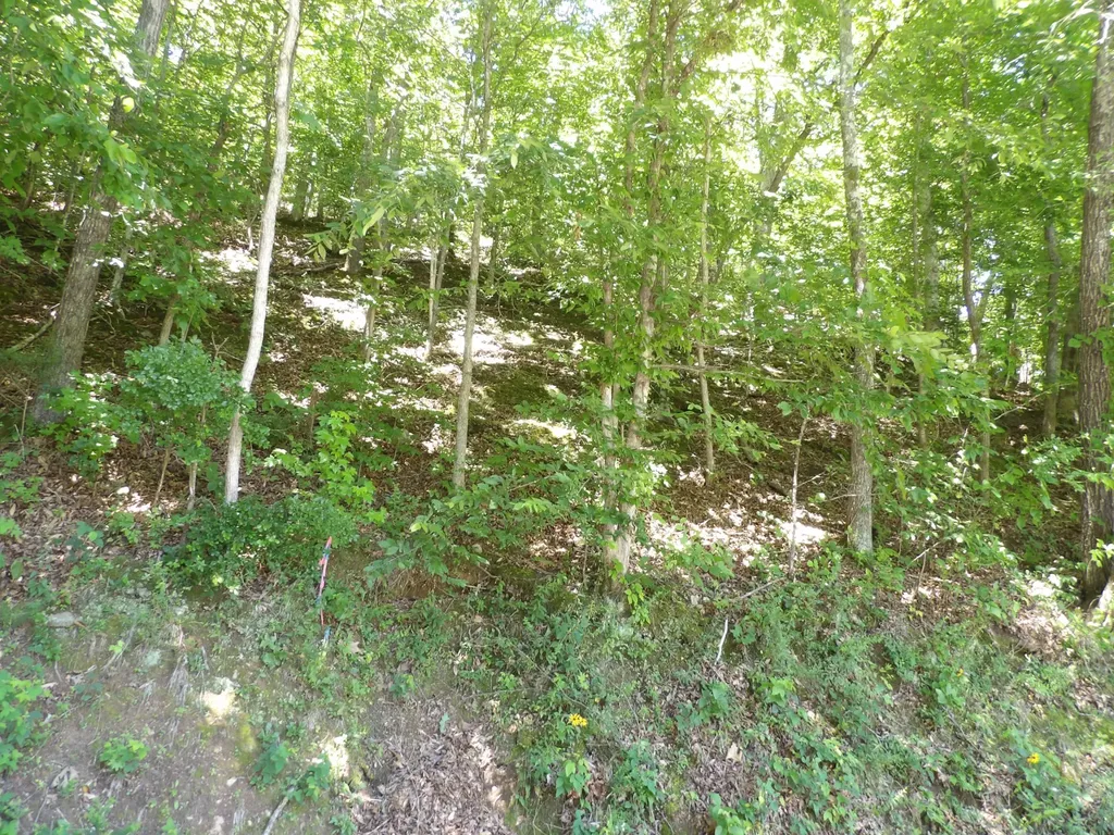 587 W Little Richland Road Waverly TN 37185