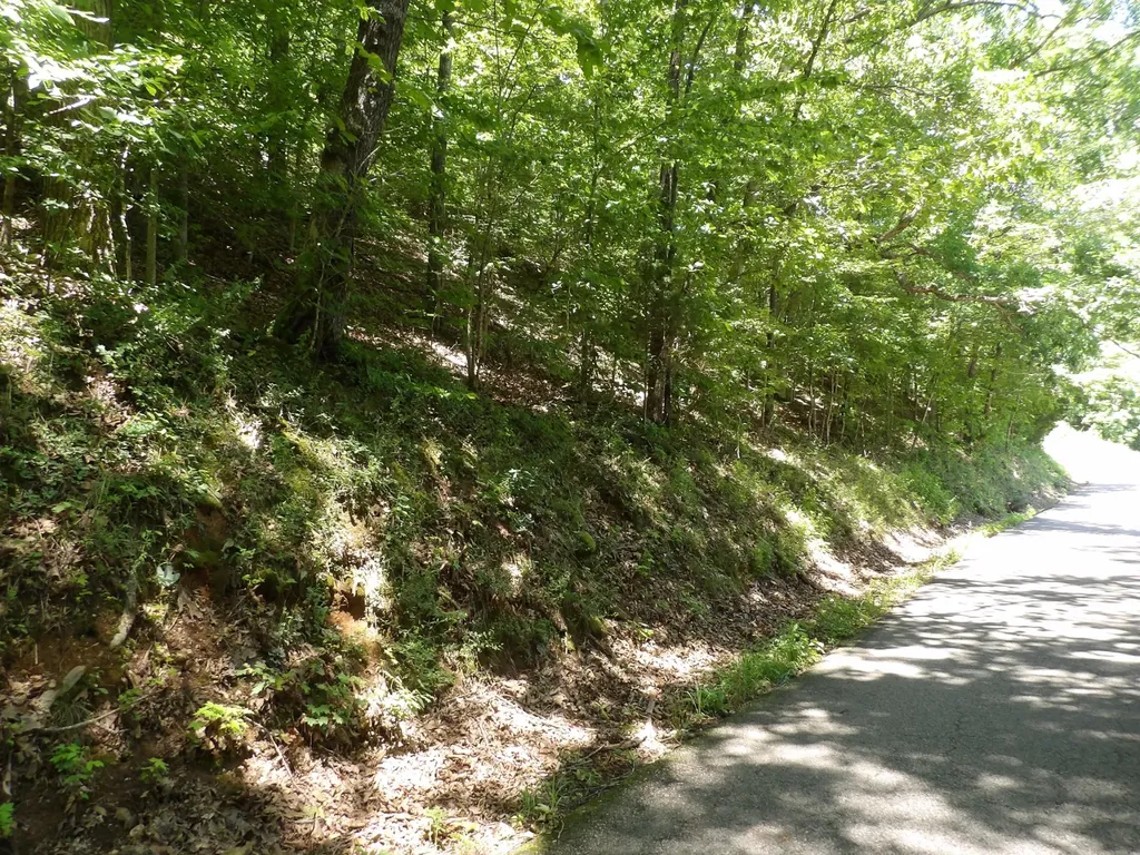 587 W Little Richland Road Waverly TN 37185