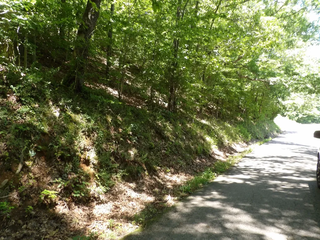 587 W Little Richland Road Waverly TN 37185