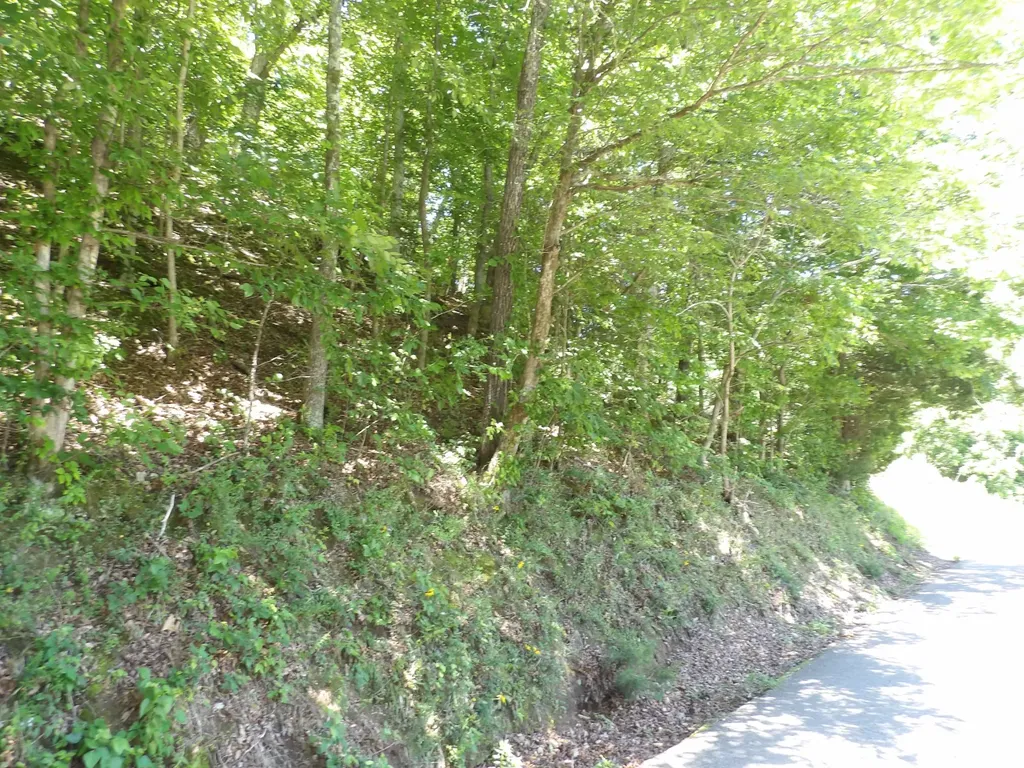 587 W Little Richland Road Waverly TN 37185
