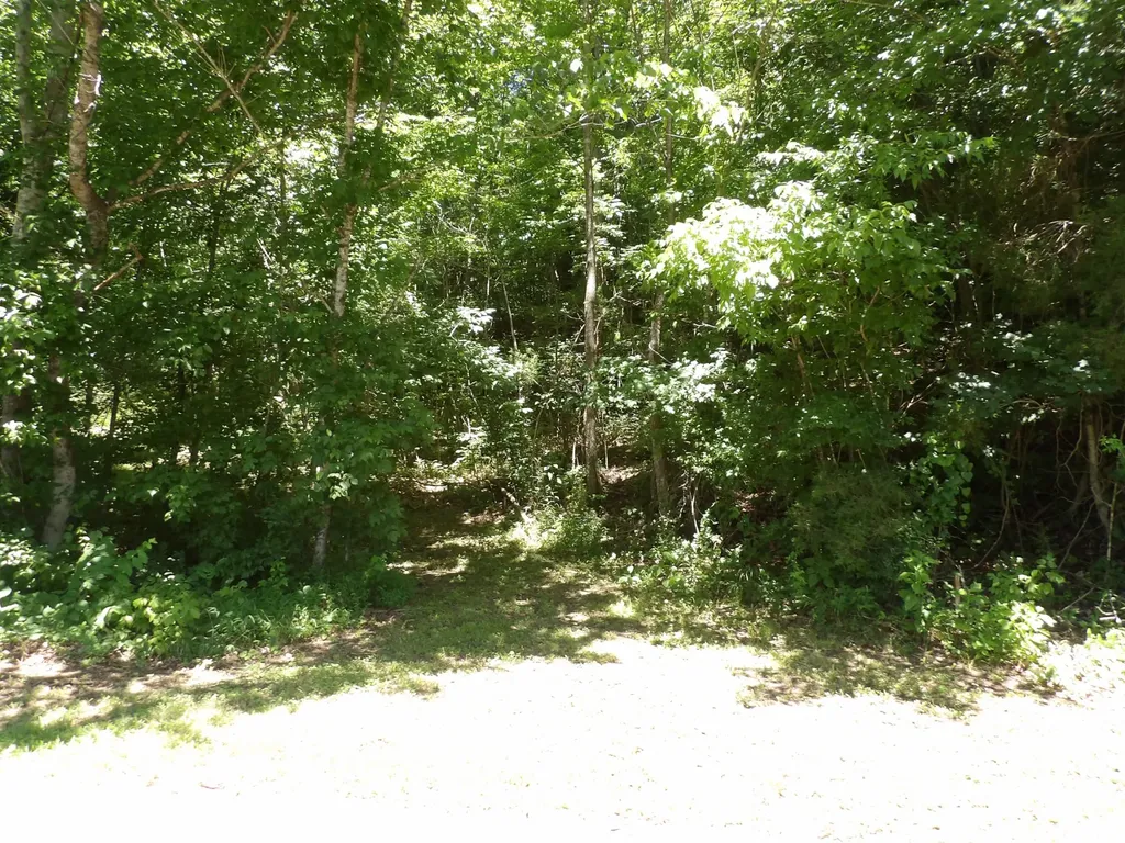 587 W Little Richland Road Waverly TN 37185