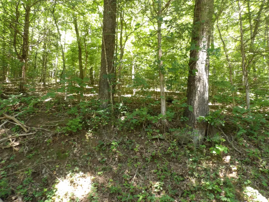 587 W Little Richland Road Waverly TN 37185