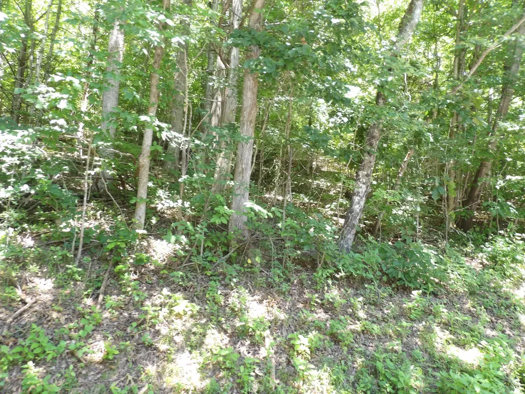 587 W Little Richland Road Waverly TN 37185