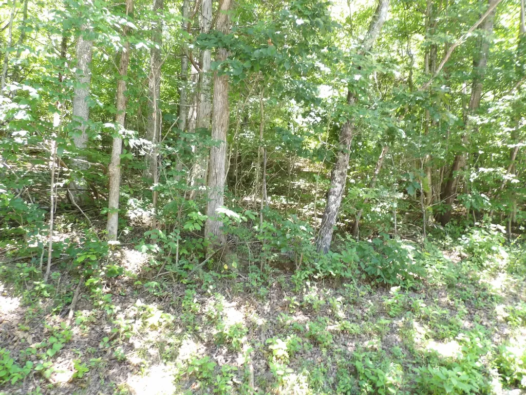 587 W Little Richland Road Waverly TN 37185