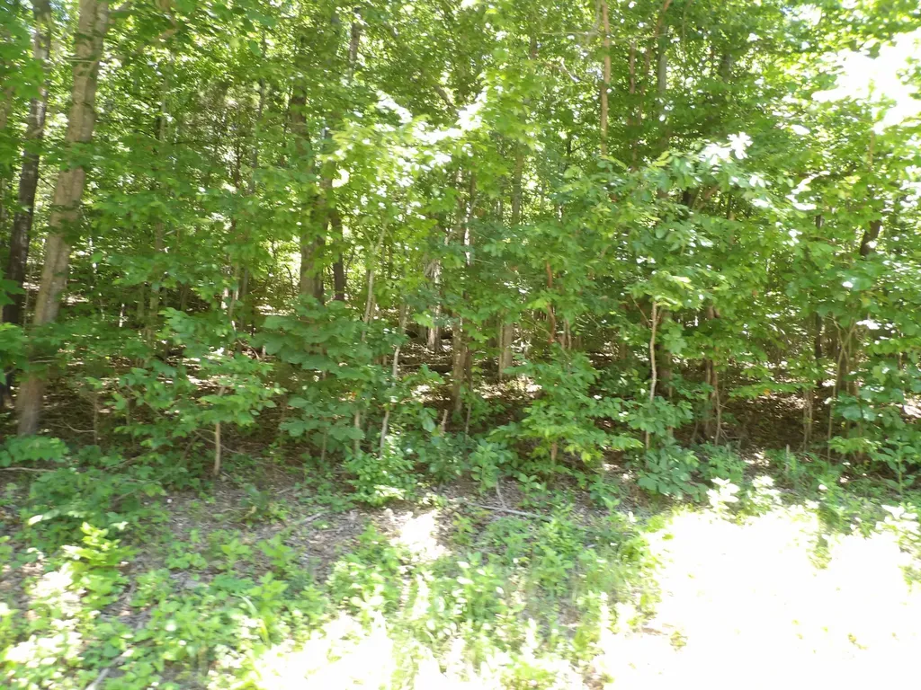 587 W Little Richland Road Waverly TN 37185