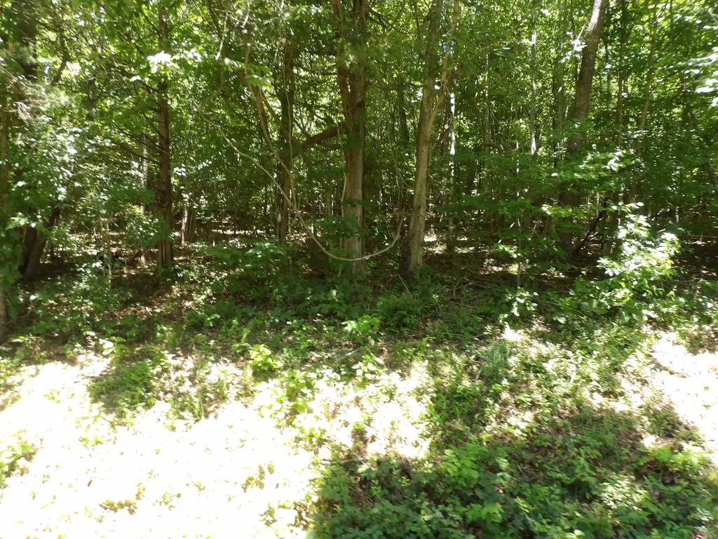 587 W Little Richland Road Waverly TN 37185