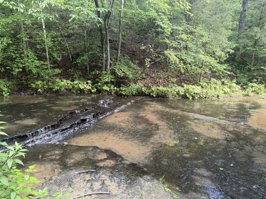 29 Gibbs Road Ashland City TN 37015