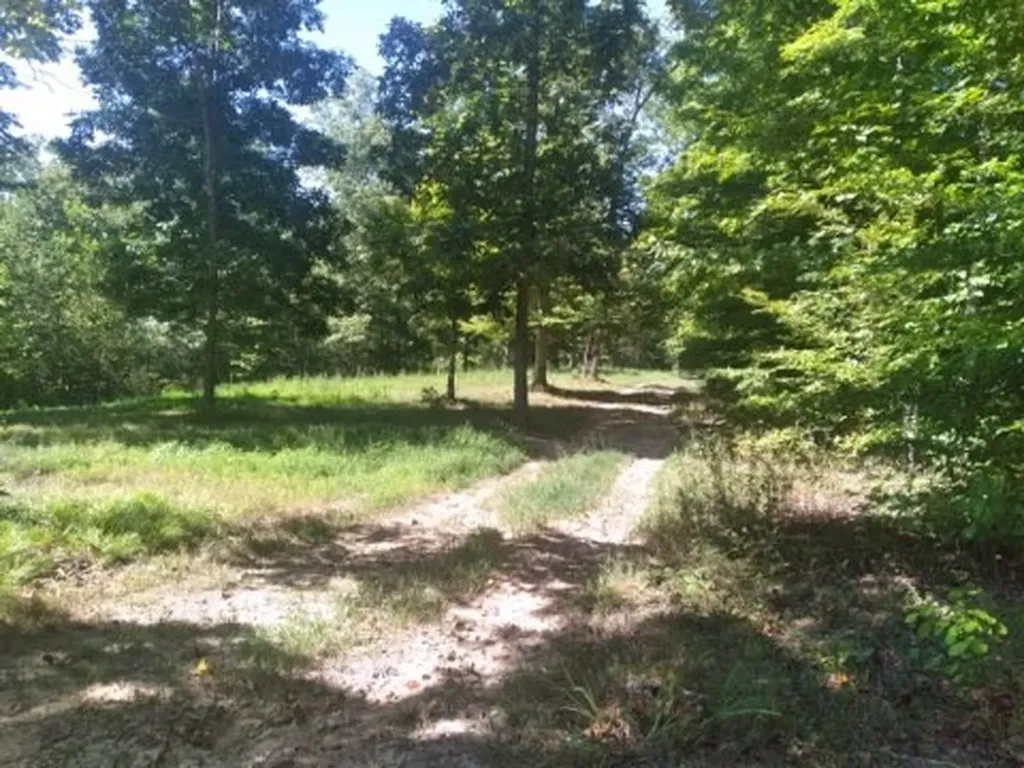 29 Gibbs Road Ashland City TN 37015