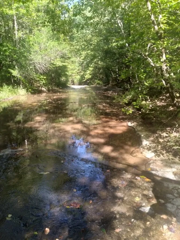 29 Gibbs Road Ashland City TN 37015