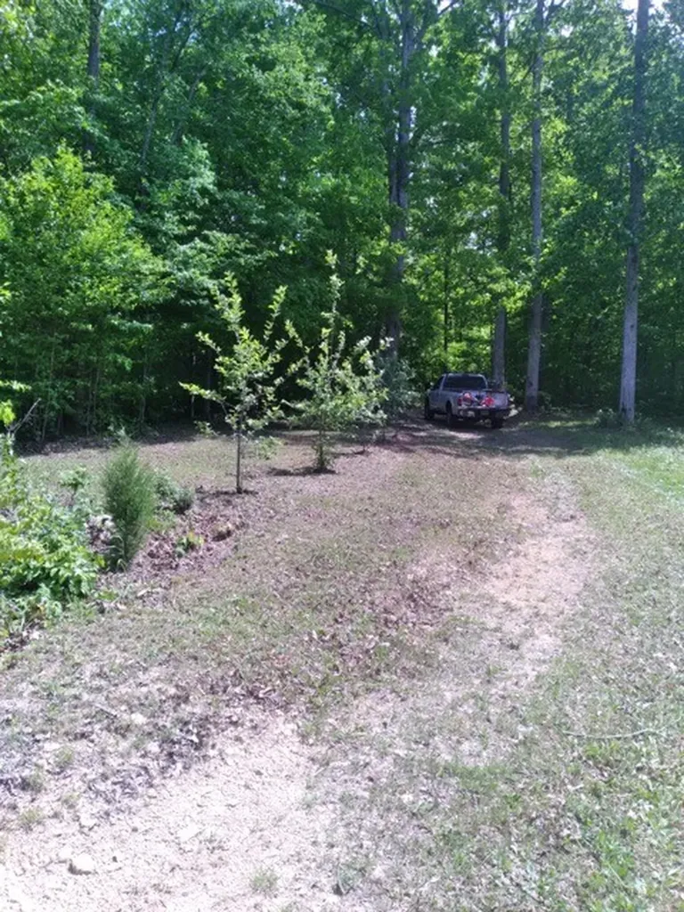 29 Gibbs Road Ashland City TN 37015