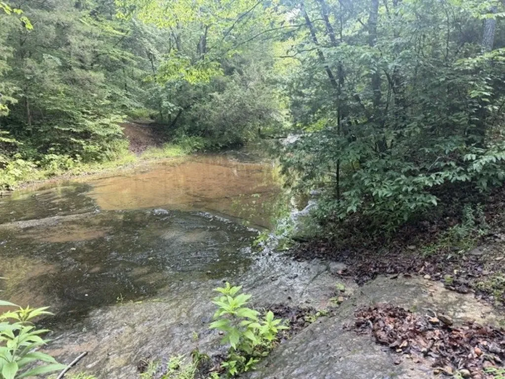 29 Gibbs Road Ashland City TN 37015