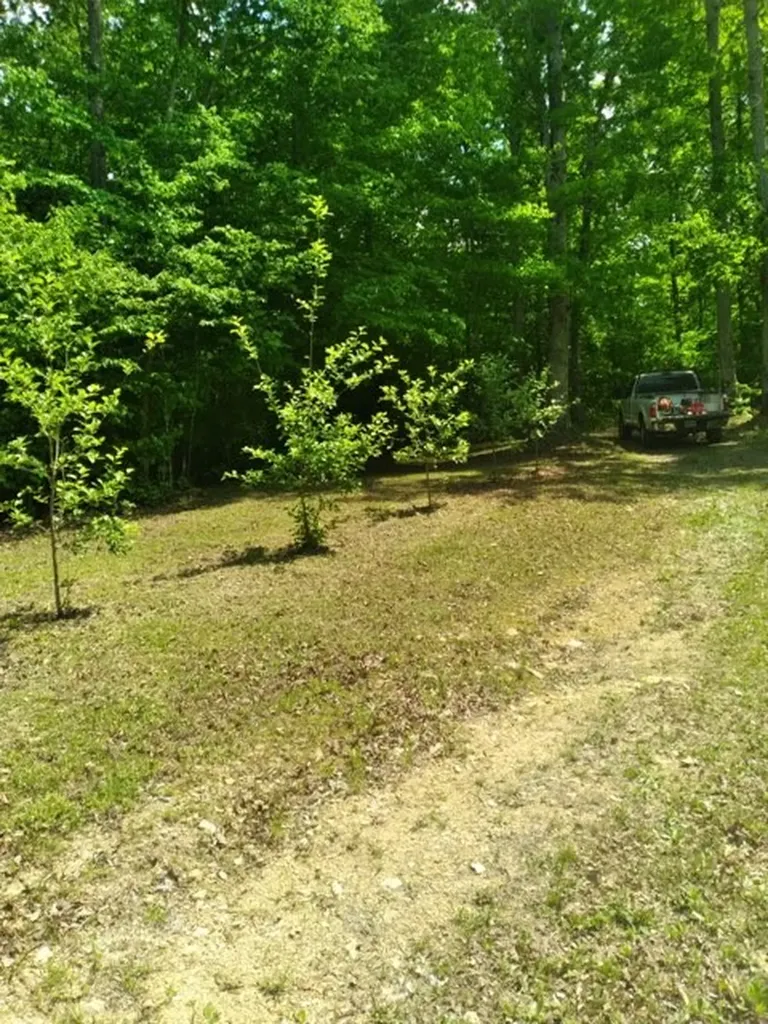 29 Gibbs Road Ashland City TN 37015
