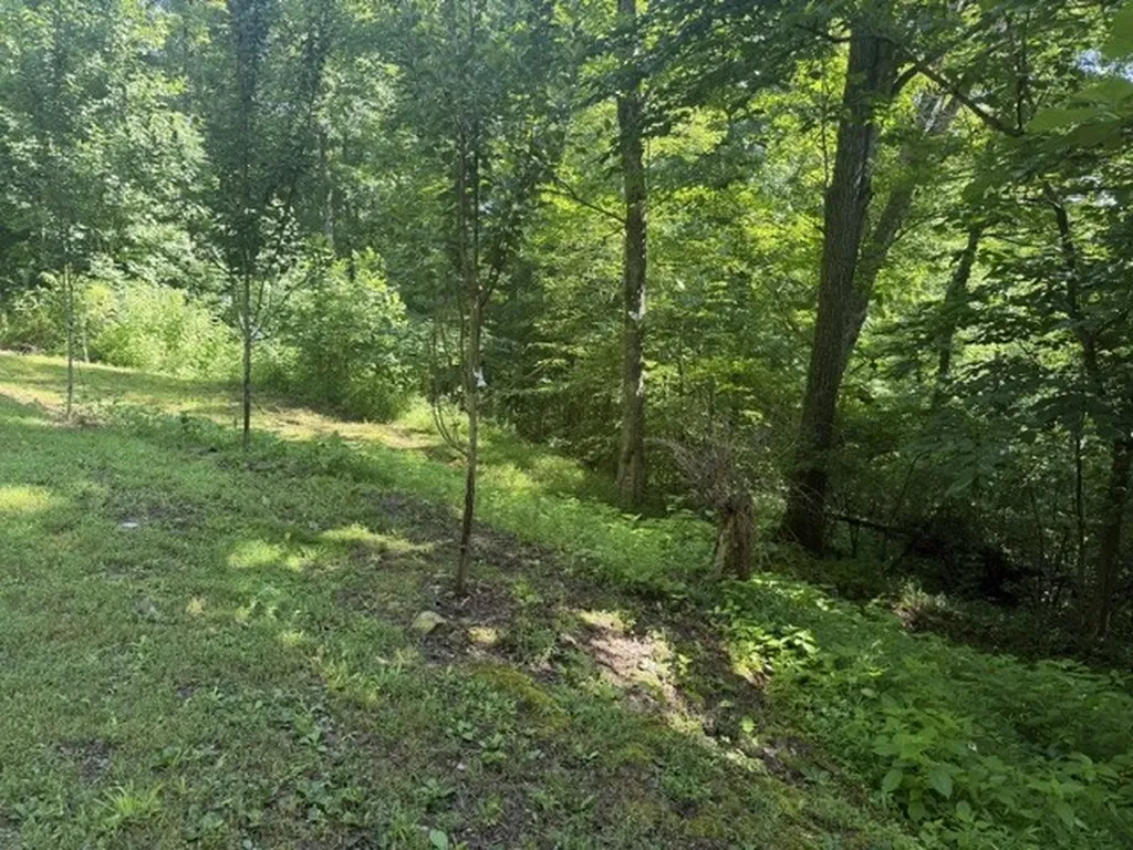 29 Gibbs Road Ashland City TN 37015