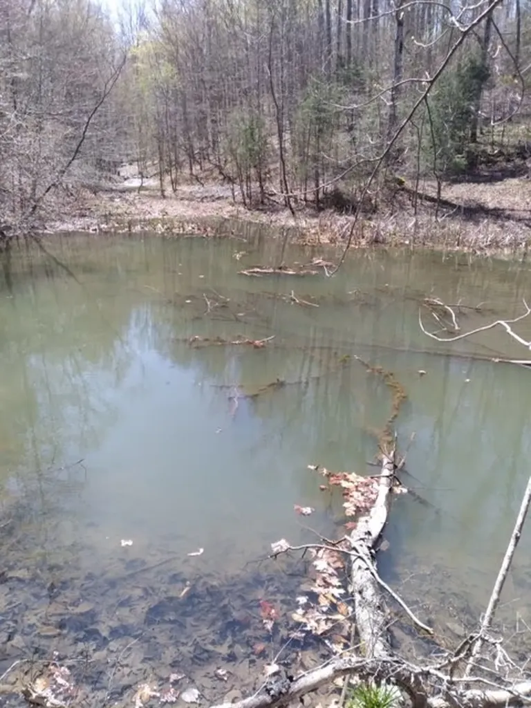 29 Gibbs Road Ashland City TN 37015